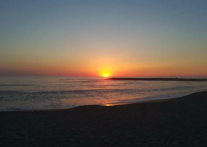 Blue Twenty Two - / Oporto Espinho (Aveiro)