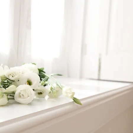 Blue Twenty Two - / Oporto *