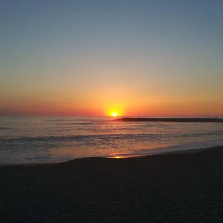 Blue Twenty Two - / Oporto 에스피뇨