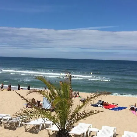 Blue Twenty Two - / Oporto 에스피뇨