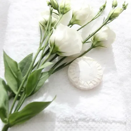 Blue Twenty Two - / Oporto