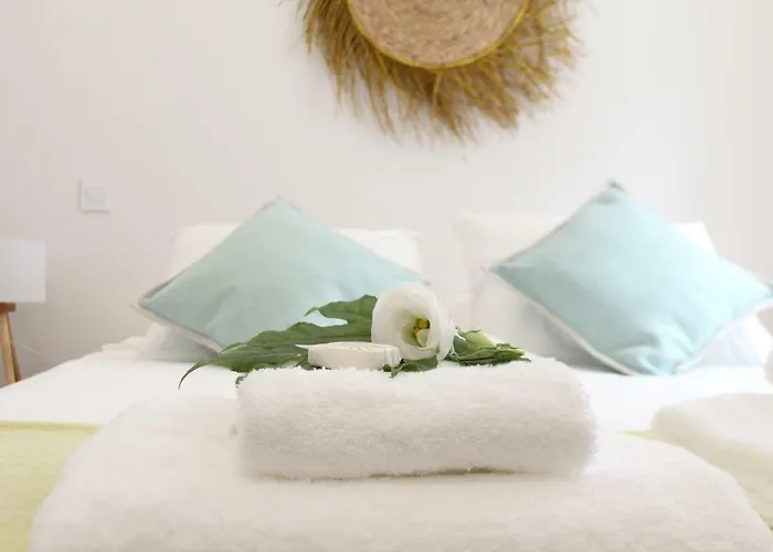 Blue Twenty Two - / Oporto Daire