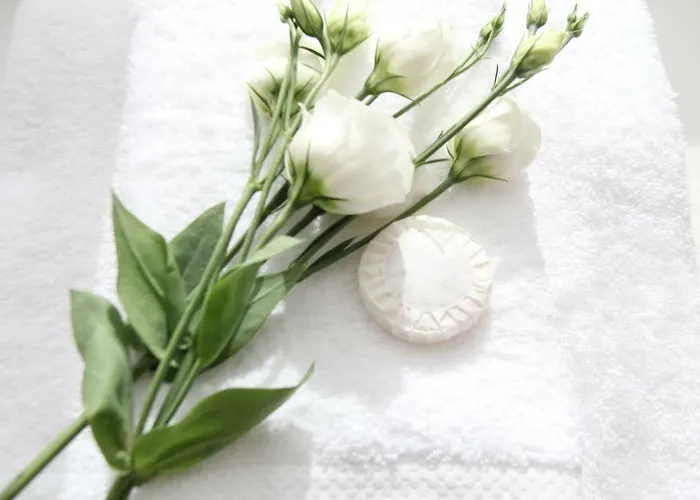 Blue Twenty Two - / Oporto